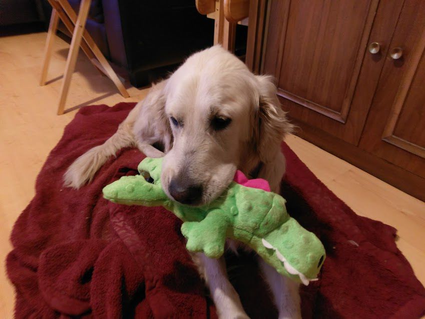Winslet (Winnie)